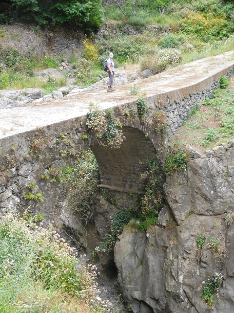 22.06.2016 Levada do Norte — Ab- und Aufstieg zur Ribeira da Caixa und zurück zum Ausgangspunkt — Foto 13