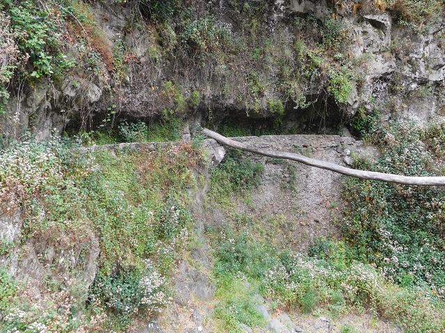 22.06.2016 Levada do Norte — Ab- und Aufstieg zur Ribeira da Caixa und zurück zum Ausgangspunkt — Foto 14