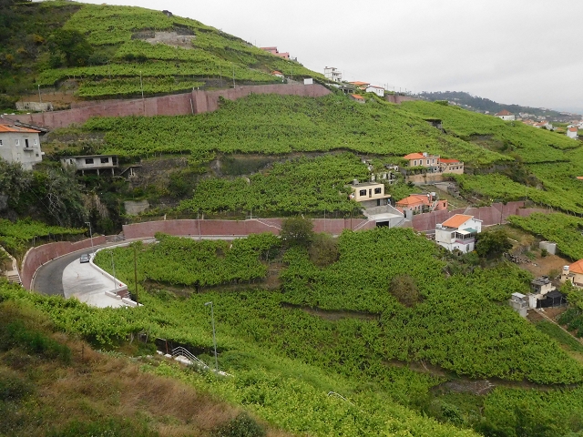 22.06.2016 Levada do Norte — Ab- und Aufstieg zur Ribeira da Caixa und zurück zum Ausgangspunkt — Foto 20