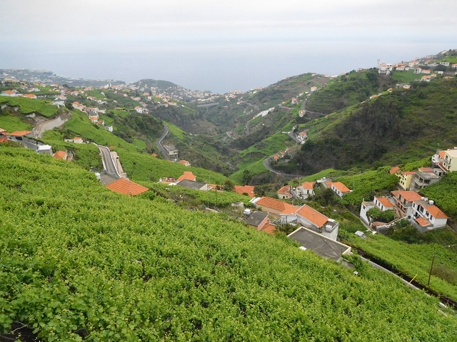 22.06.2016 Levada do Norte — Ab- und Aufstieg zur Ribeira da Caixa und zurück zum Ausgangspunkt — Foto 21