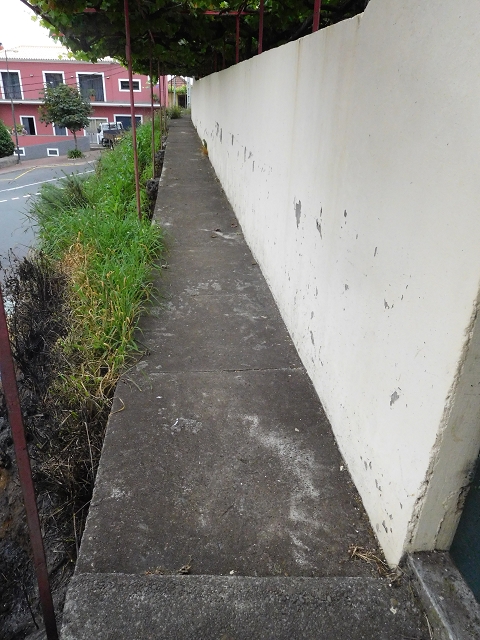 22.06.2016 Levada do Norte — Ab- und Aufstieg zur Ribeira da Caixa und zurück zum Ausgangspunkt — Foto 26