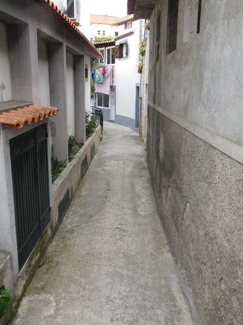 22.06.2016 Levada do Norte — Ab- und Aufstieg zur Ribeira da Caixa und zurück zum Ausgangspunkt — Foto 28