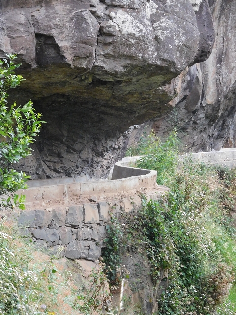 22.06.2016 Levada do Norte — Im Tal der Ribeira da Caixa — Foto 8