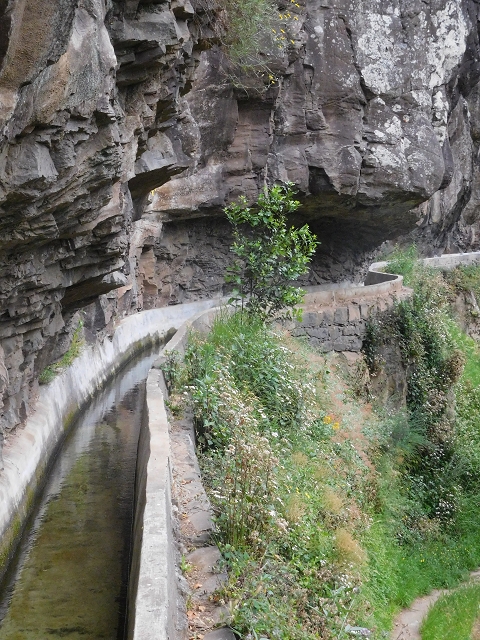 22.06.2016 Levada do Norte — Im Tal der Ribeira da Caixa — Foto 9