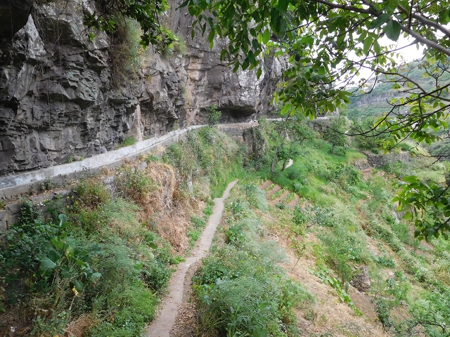 22.06.2016 Levada do Norte — Im Tal der Ribeira da Caixa — Foto 11