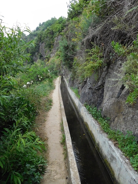 22.06.2016 Levada do Norte — Im Tal der Ribeira da Caixa — Foto 12