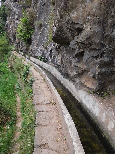 22.06.2016 Levada do Norte — Im Tal der Ribeira da Caixa — Foto 14