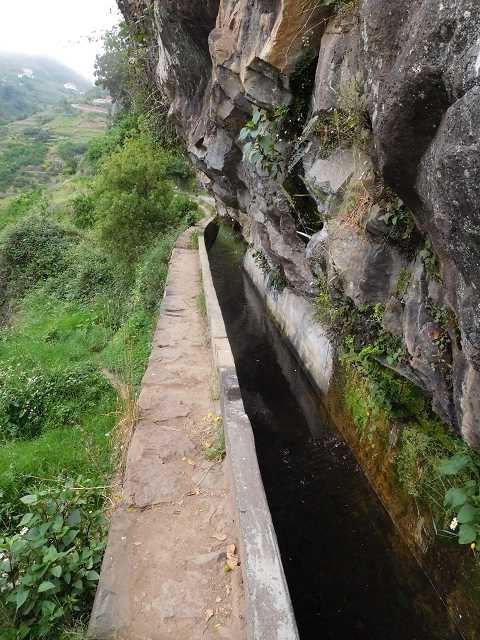 22.06.2016 Levada do Norte — Im Tal der Ribeira da Caixa — Foto 15