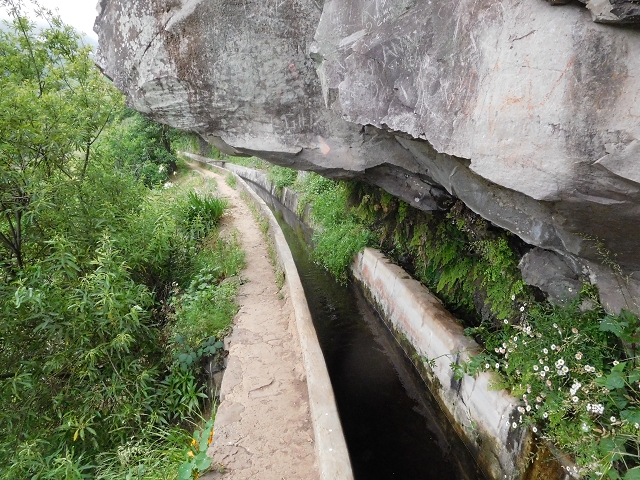 22.06.2016 Levada do Norte — Im Tal der Ribeira da Caixa — Foto 16