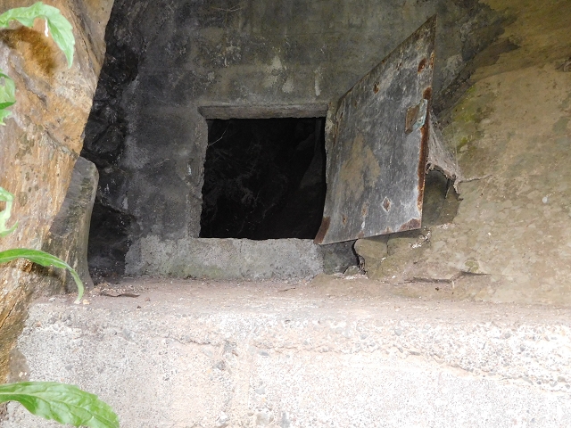 22.06.2016 Levada do Norte — Im Tal der Ribeira da Caixa — Foto 18