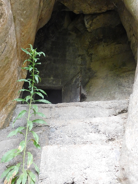 22.06.2016 Levada do Norte — Im Tal der Ribeira da Caixa — Foto 19