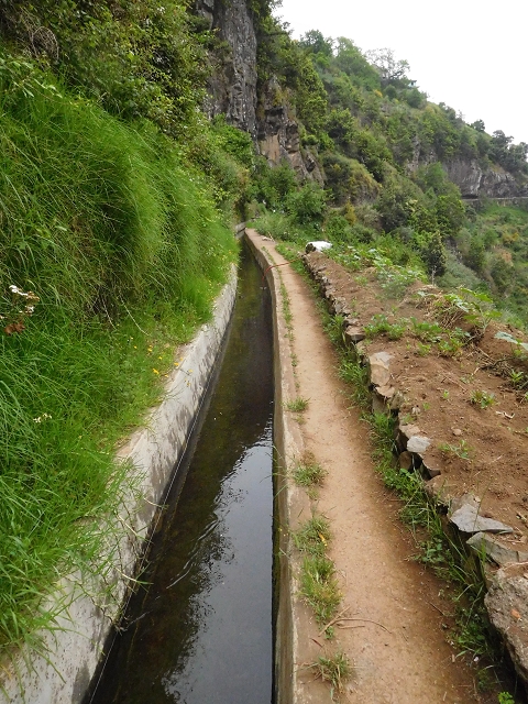 22.06.2016 Levada do Norte — Im Tal der Ribeira da Caixa — Foto 21