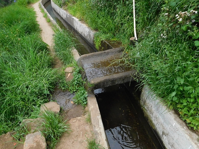 22.06.2016 Levada do Norte — Im Tal der Ribeira da Caixa — Foto 22