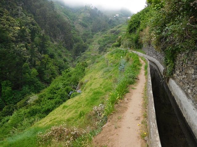 22.06.2016 Levada do Norte — Im Tal der Ribeira da Caixa — Foto 23