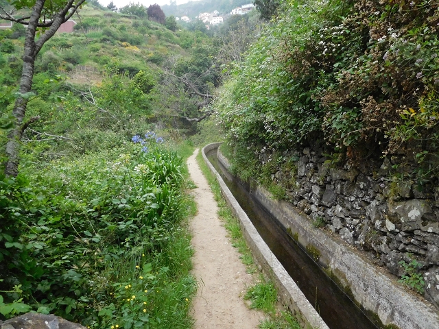 22.06.2016 Levada do Norte — Im Tal der Ribeira da Caixa — Foto 27