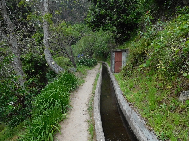 22.06.2016 Levada do Norte — Im Tal der Ribeira da Caixa — Foto 28