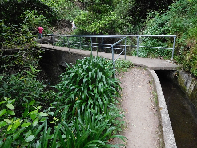 22.06.2016 Levada do Norte — Im Tal der Ribeira da Caixa — Foto 29