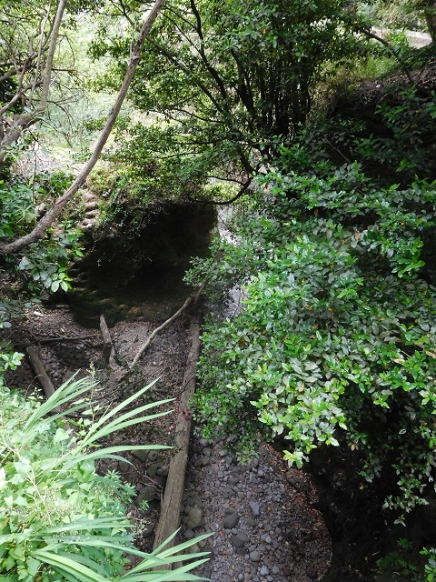 22.06.2016 Levada do Norte — Im Tal der Ribeira da Caixa — Foto 30