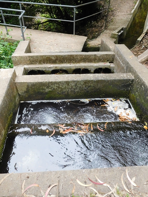 22.06.2016 Levada do Norte — Im Tal der Ribeira da Caixa — Foto 31