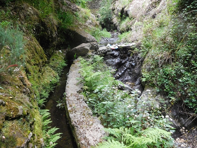 22.06.2016 Levada do Norte — Im Tal der Ribeira da Caixa — Foto 32