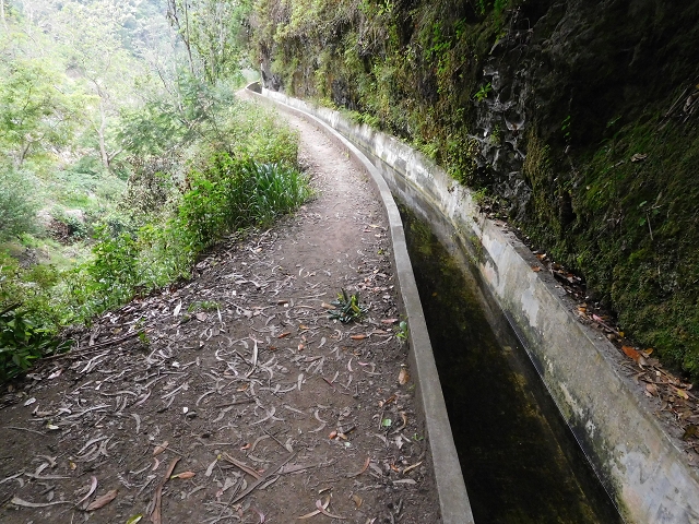 22.06.2016 Levada do Norte — Im Tal der Ribeira da Caixa — Foto 33