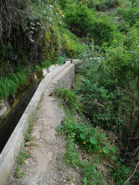 22.06.2016 Levada do Norte — Im Tal der Ribeira da Caixa — Foto 34