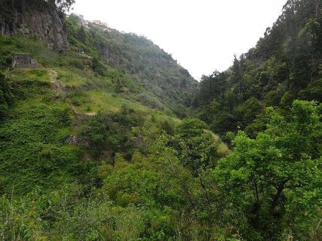 22.06.2016 Levada do Norte — Im Tal der Ribeira da Caixa — Foto 35