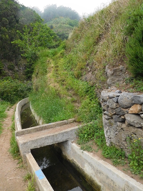 22.06.2016 Levada do Norte — Im Tal der Ribeira da Caixa — Foto 36