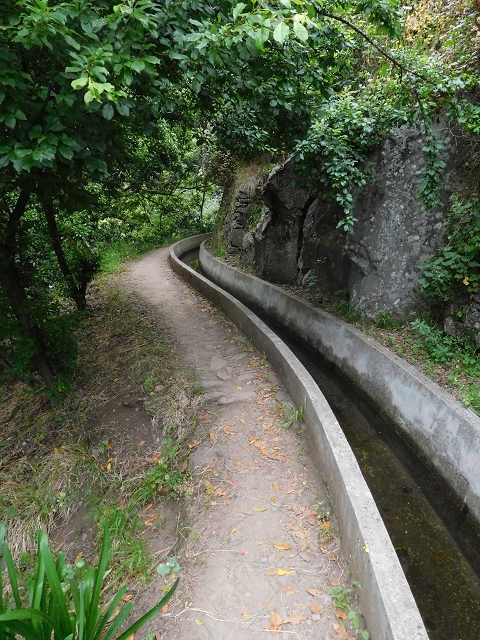 22.06.2016 Levada do Norte — Im Tal der Ribeira da Caixa — Foto 37