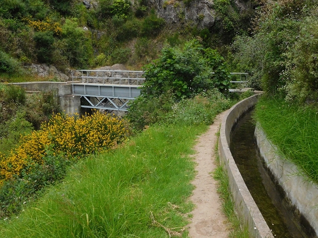 22.06.2016 Levada do Norte — Im Tal der Ribeira da Caixa — Foto 40