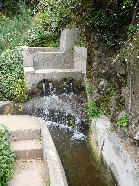 22.06.2016 Levada do Norte — Im Tal der Ribeira da Caixa — Foto 41