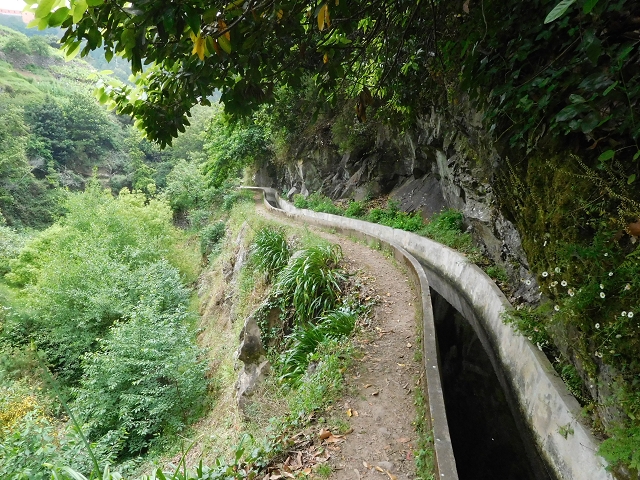 22.06.2016 Levada do Norte — Im Tal der Ribeira da Caixa — Foto 42