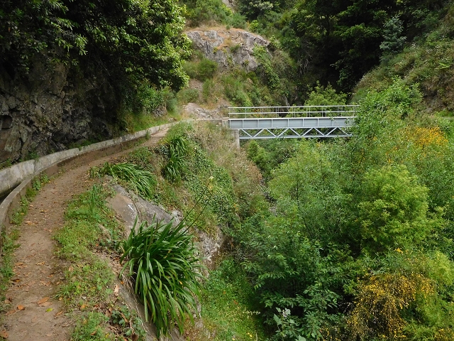 22.06.2016 Levada do Norte — Im Tal der Ribeira da Caixa — Foto 43