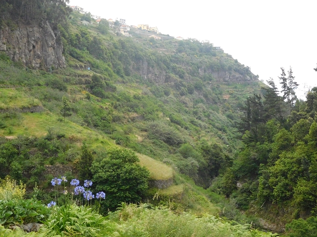 22.06.2016 Levada do Norte — Aufstieg nach Jardim da Serra — Foto 1