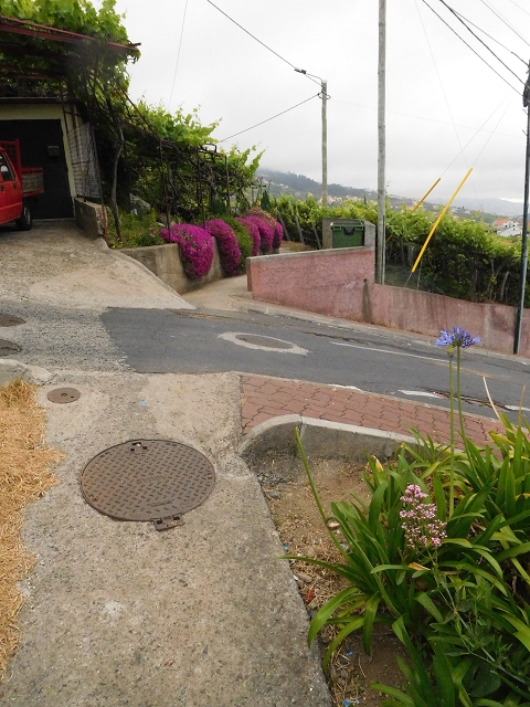 22.06.2016 Levada do Norte — Von Estreito de Camara de Lobos bis zum Tal der Ribeira da Caixa — Foto 6