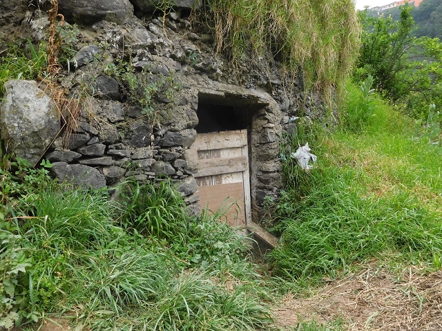 22.06.2016 Levada do Norte — Aufstieg nach Jardim da Serra — Foto 4