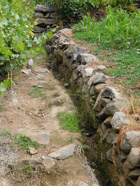 22.06.2016 Levada do Norte — Aufstieg nach Jardim da Serra — Foto 6