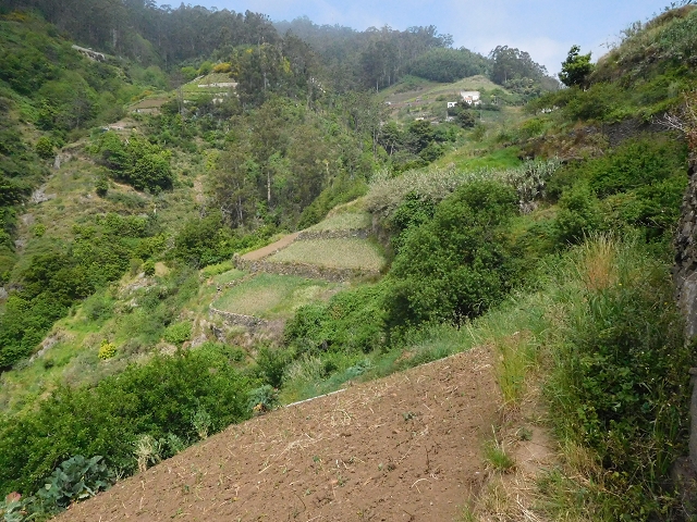 22.06.2016 Levada do Norte — Aufstieg nach Jardim da Serra — Foto 7