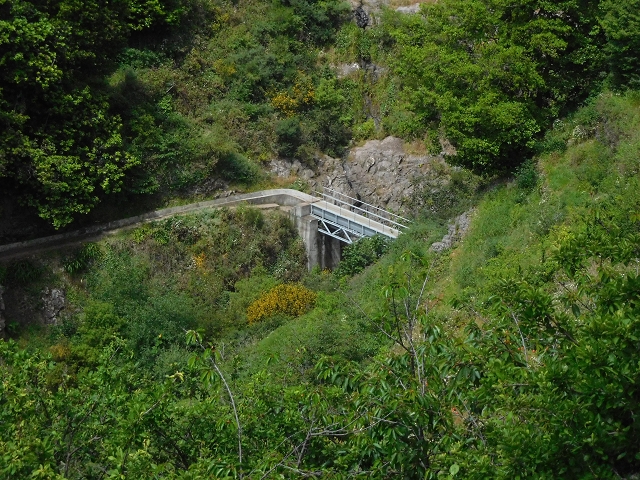 22.06.2016 Levada do Norte — Aufstieg nach Jardim da Serra — Foto 8