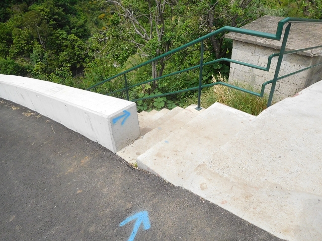 22.06.2016 Levada do Norte — Aufstieg nach Jardim da Serra — Foto 11