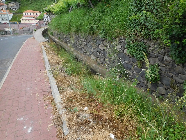 22.06.2016 Levada do Norte — Von Estreito de Camara de Lobos bis zum Tal der Ribeira da Caixa — Foto 7