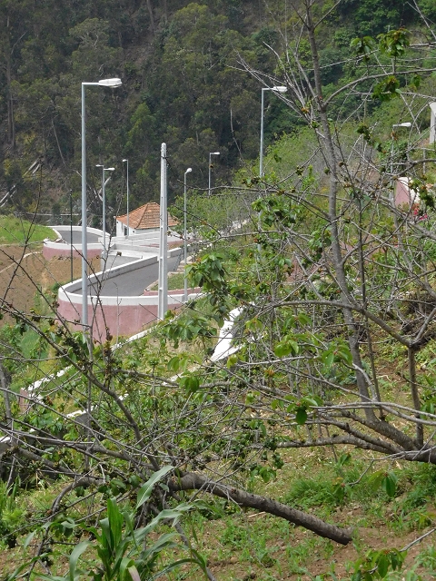 22.06.2016 Levada do Norte — Aufstieg nach Jardim da Serra — Foto 14