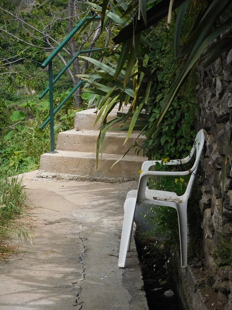 22.06.2016 Levada do Norte — Aufstieg nach Jardim da Serra — Foto 15