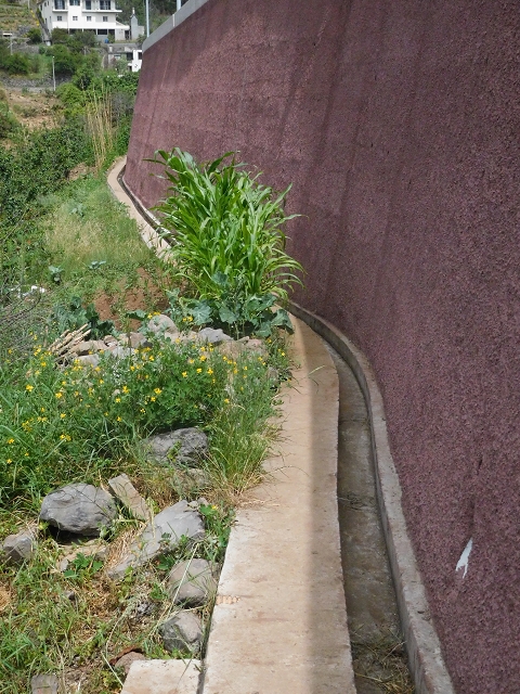 22.06.2016 Levada do Norte — Aufstieg nach Jardim da Serra — Foto 16