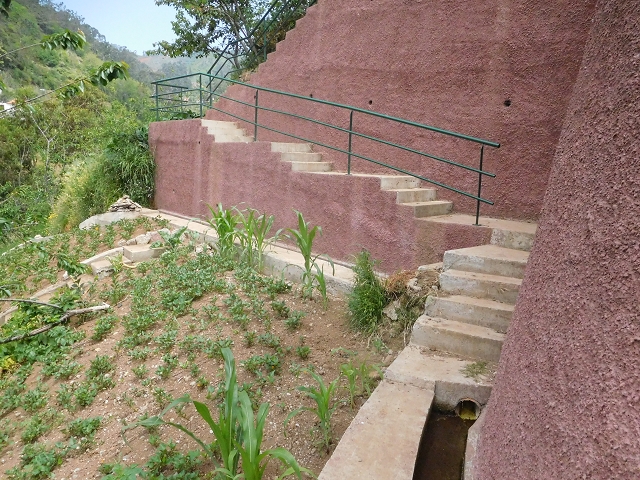 22.06.2016 Levada do Norte — Aufstieg nach Jardim da Serra — Foto 17