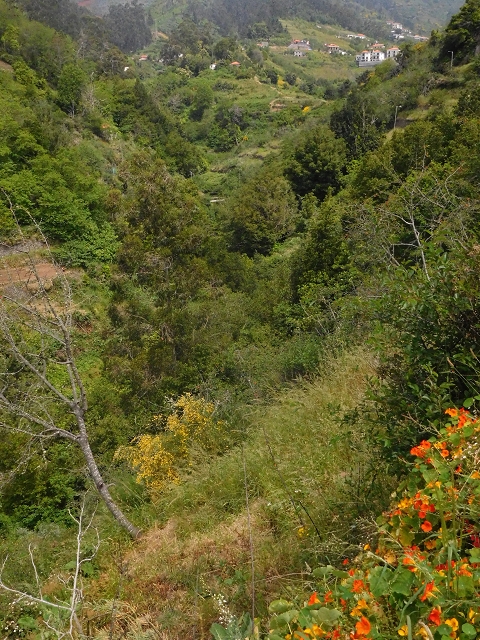 22.06.2016 Levada do Norte — Weg nach Fontainhas und Überreste der Levada do Rouca — Foto 2