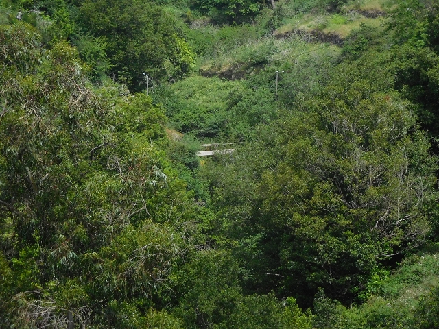 22.06.2016 Levada do Norte — Weg nach Fontainhas und Überreste der Levada do Rouca — Foto 3