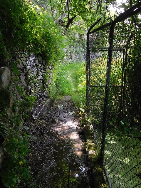 22.06.2016 Levada do Norte — Weg nach Fontainhas und Überreste der Levada do Rouca — Foto 6