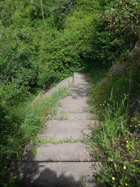 22.06.2016 Levada do Norte — Weg nach Fontainhas und Überreste der Levada do Rouca — Foto 8