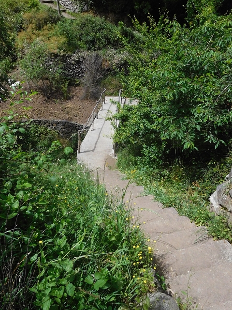 22.06.2016 Levada do Norte — Weg nach Fontainhas und Überreste der Levada do Rouca — Foto 9